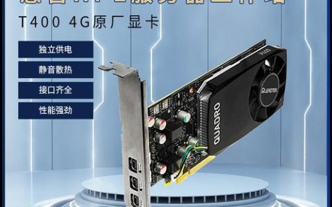 服务器中的显卡扮演着哪些关键角色？