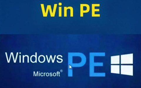 如何安全地从官方网站下载微PE？