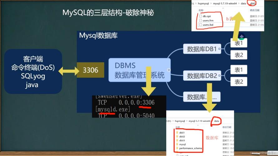 mysql加入数据库中_Mysql数据库