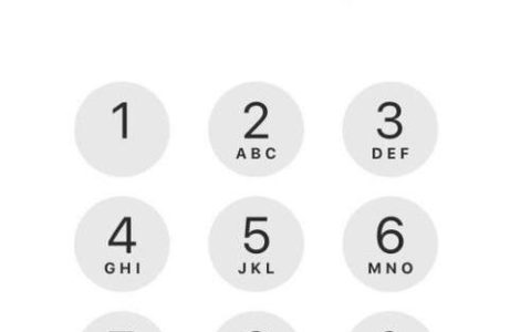 如何找到苹果手机中的SIM卡设置选项？