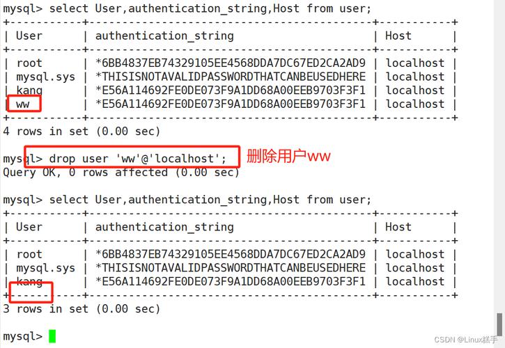 mysql先建数据库还是用户_管理数据库和用户(MySQL)