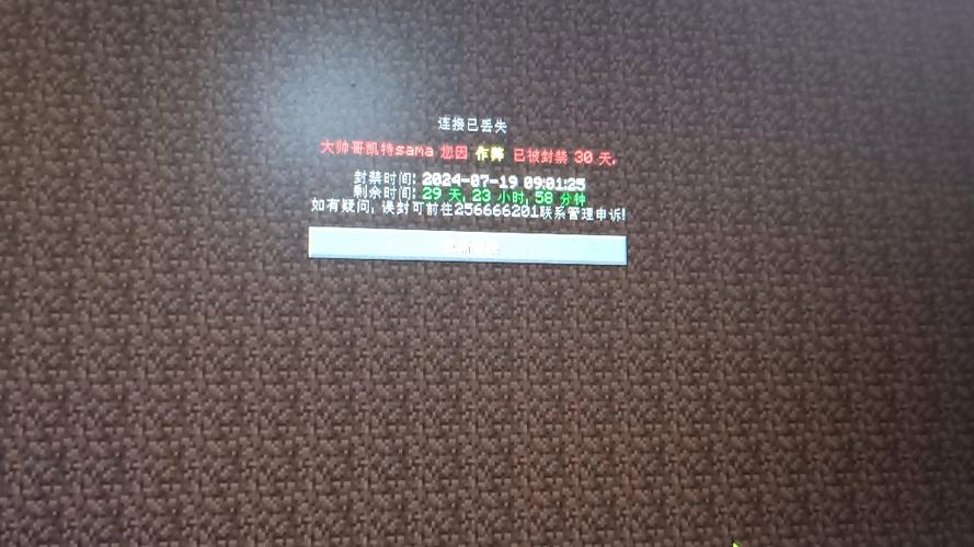 布吉岛服务器被毁原因是什么