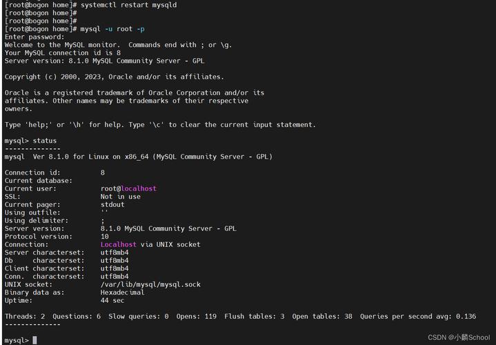 mysql初始的数据库_Mysql数据库