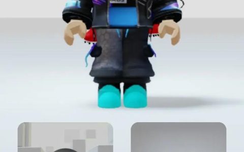 罗布乐思服务器成员的作用是什么？