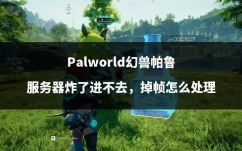布鲁帕鲁遭遇服务器访问难题，究竟是什么原因造成的？