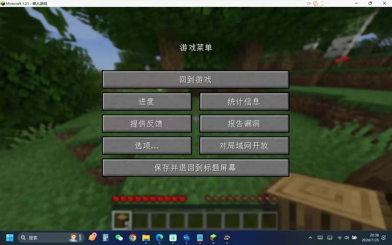 java需要用什么样的服务器