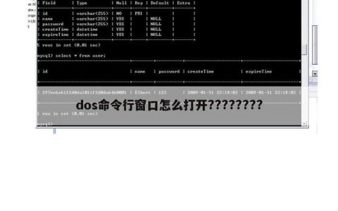 如何快速找到并打开笔记本电脑的命令窗口？