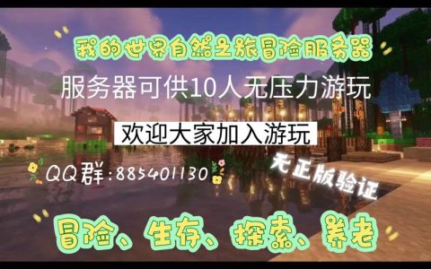 如何在我的世界服务器中生存？