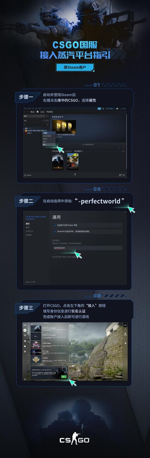 cs 直接登国服的服务器叫什么