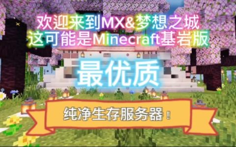 小雷的我的世界服务器究竟隐藏了什么秘密？