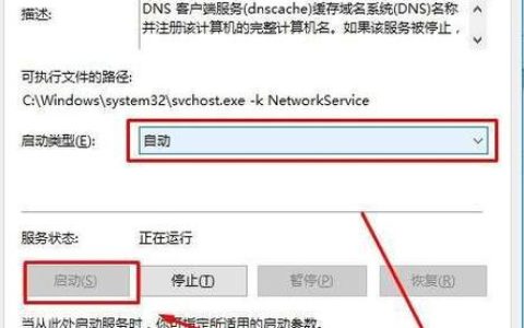 无法解析DNS服务器地址，这意味着什么？