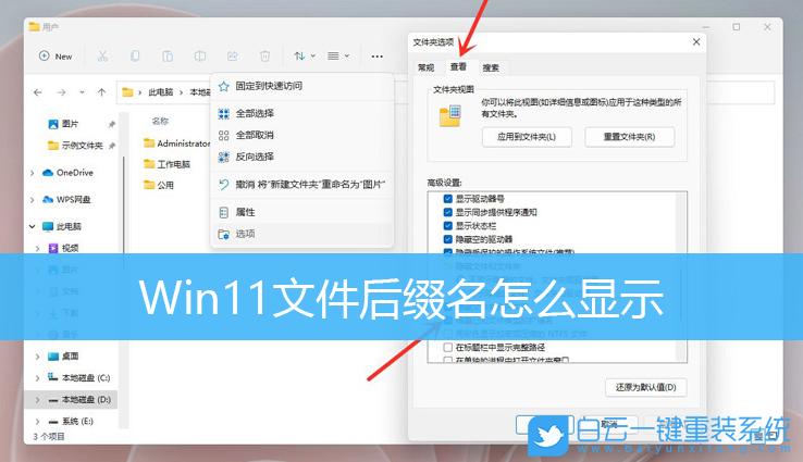 电脑显示扩展名在哪里