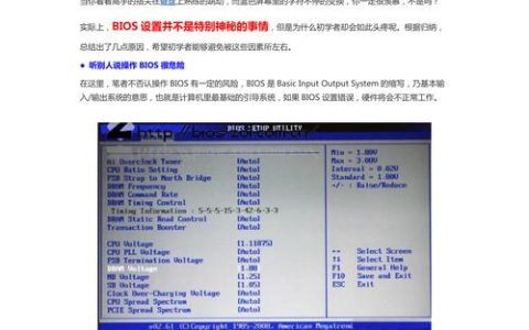 服务器BIOS引导模式应如何配置以优化系统启动？