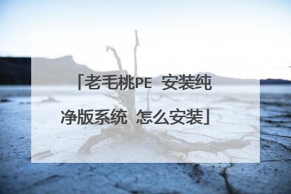 pe老毛桃安装在哪里