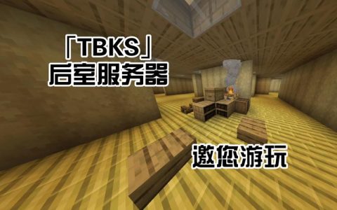 探索我的世界单线服务器的独特魅力与实用价值