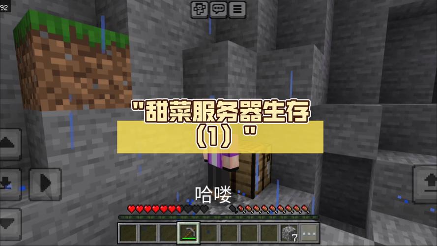 甜菜的两个服务器都是什么