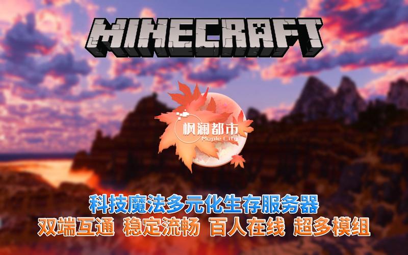 mc服务器1.12.2_MC自定义策略