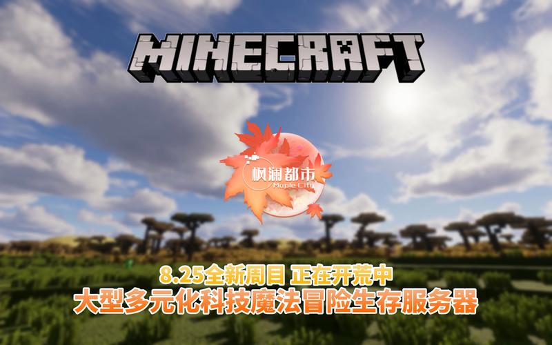 mc服务器1.12.2_MC自定义策略