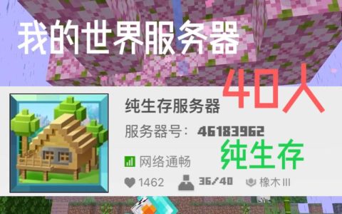 如何购买适合我的MC服务器并自定义策略？
