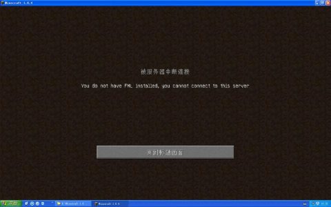 燕字归时服务器无法连接，原因何在？