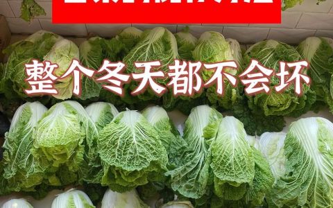 大白菜制作完成后应如何妥善存放？