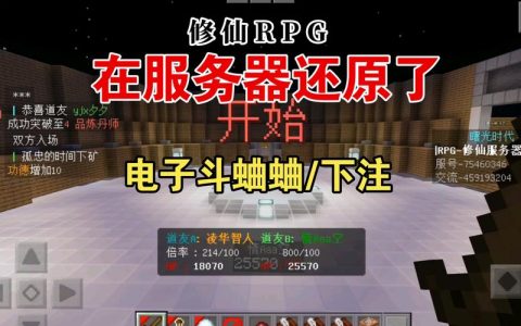 网易我的世界服务器崩溃原因探究，究竟发生了什么？