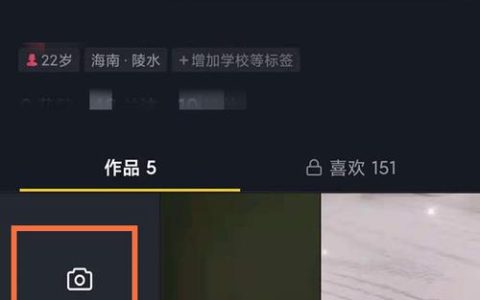 如何在抖音极速版上发布我的作品？