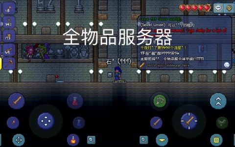 泰拉瑞亚中服务器端口扮演什么角色？
