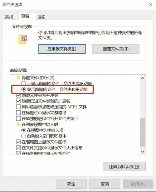 u盘里文件夹选项在哪里