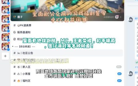 跑酷年费服务器的含义是什么？