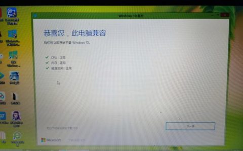 安装Windows 10在服务器上会引发哪些潜在问题？