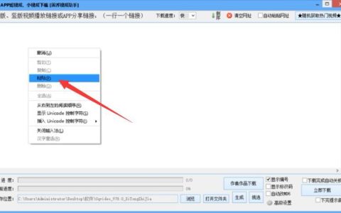 如何找到并转换U盘中已下载的视频文件？
