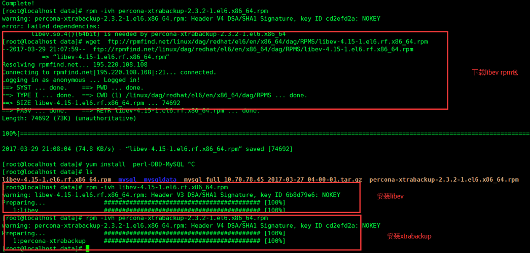 mysql恢复数据库的命令_恢复到自建MySQL数据库