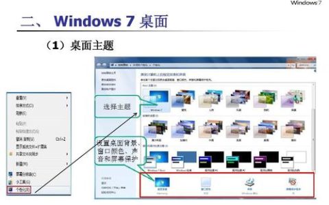 如何找到Windows 7系统中的Guest账户位置？