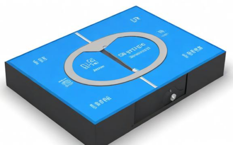 负载均衡器硬件如何优化网络流量分配？
