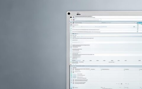 api 窗口截图