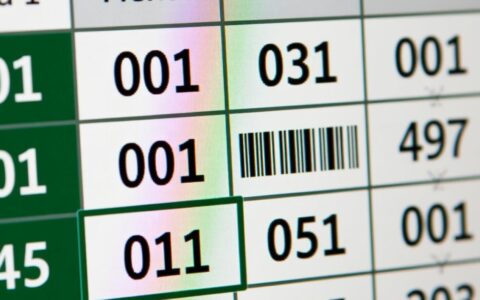 Excel表格如何输入0开头的数字且不被自动去掉？