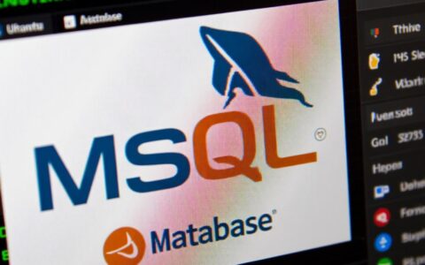 在Ubuntu终端中怎么用命令启动MySQL数据库服务？