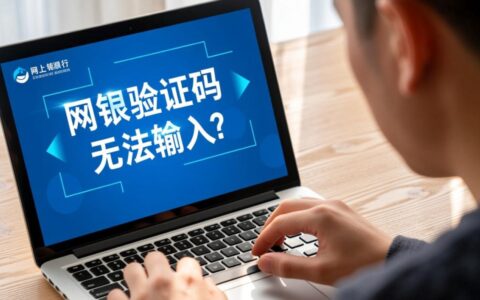 网银登录时验证码输入框无法输入，点击也没反应怎么办？