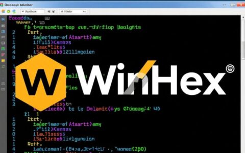 WinHex脚本jumpto报错是什么原因，该如何解决？