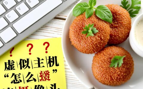 没有公网IP，虚拟主机怎么连接家里的摄像头做网页监控？
