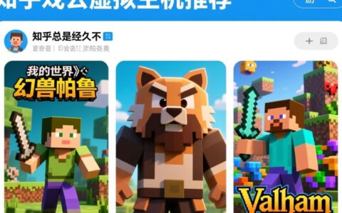 想和朋友开游戏服，有什么性价比高且不卡顿的云虚拟主机推荐吗？