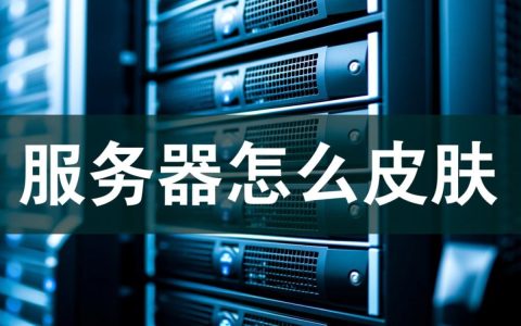 服务器怎么更换皮肤外观，求一个详细的新手操作步骤教程？