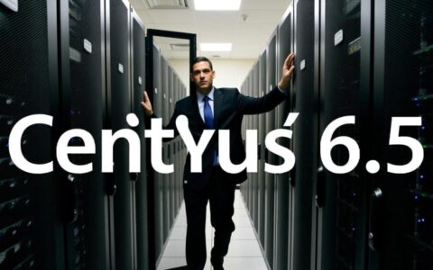 centos6.5服务器实现中文汉化的详细操作步骤到底是什么？