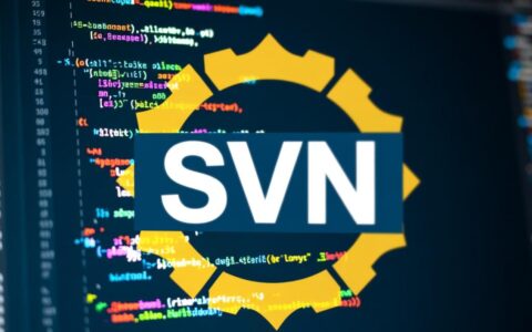 svn建分支报错怎么办，是权限问题还是路径写错了如何排查？