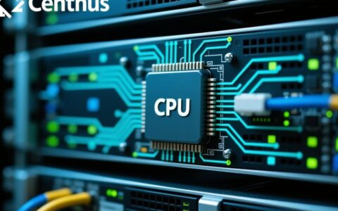 在CentOS系统下，应该用什么命令来查看服务器的CPU数量呢？