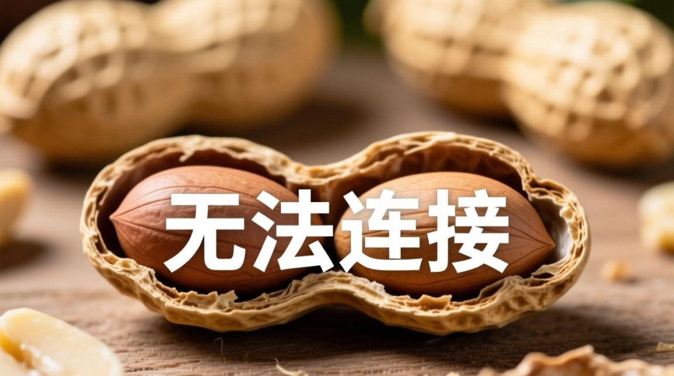 花生壳客户端连接成功但远程访问不了,到底是什么原因造成的? 花生壳客户端连接成功但远程访问不了,到底是什么原因造成的?