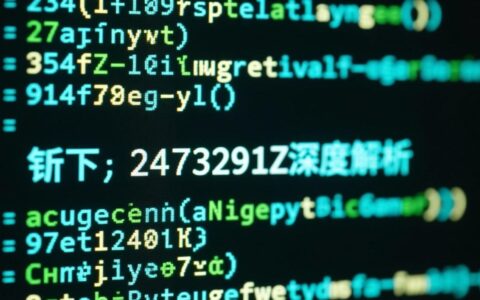 报错2473291Z空间是什么问题，要如何才能彻底解决？