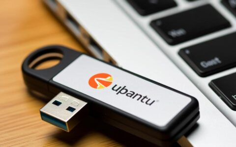 Ubuntu系统下U盘无法自动挂载，如何手动解决？