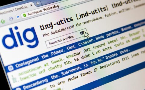 CentOS系统下如何安装DNS诊断工具dig？